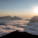 앙드레농장 이미지