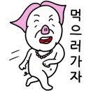 백령다시마
