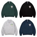 카라말티즈 이미지