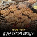 수원 영통 고기집 금강산 화로구이 돼지갈비 가족외식