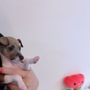 품안농장 이미지