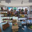 젊은열대어 이미지