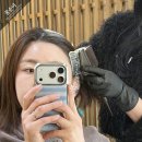 더 트라움 헤어