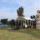 자라섬남도2(짚라인) 이미지