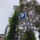 대광어회집 | 강북구 대광어회집 뒤늦은 대하철 대하구이 먹은 후기