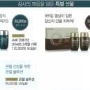 정원기획 - 동대문구 답십리로63길 131 | 정원기획