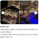 용마바베큐파티 | [공지] 특별한 이벤트하기 좋은 이색데이트 장소- 서울 용마랜드 음이온 바베큐장