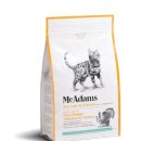 달보드레/루체레 이미지