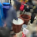 용문면 망능길 네이버블로그