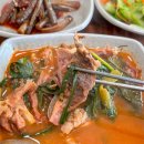 청솔흑염소