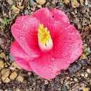 뜻밖의 하루 이미지