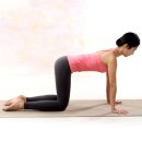 전신근력운동 이미지