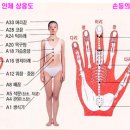 고려수지침요법 Daum카페