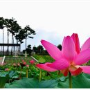 지사울공원 이미지