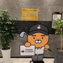 태양스크린골프 이미지