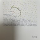 사는동안꽃처럼 이미지