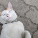 오션앤PC 이미지