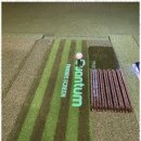 혁신 스크린 골프 이미지