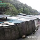 묵리주유소 이미지