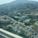 농림축산검역소 앞 이미지