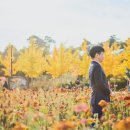 인천 야외 웨딩스냅｜드림파크야생화단지 가을 웨딩스냅 촬영 후기