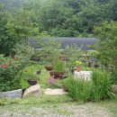 개미농장 2농장 이미지