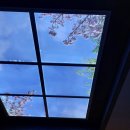 외포항2 이미지