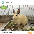 증평가정견훈련소 이미지