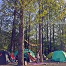 파주기산캠프 이미지