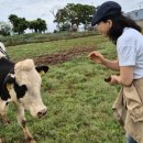 여운목장 이미지