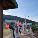 절영마 및 조내기를 이미지