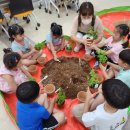 단감테마공원 이미지