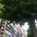 백운마취통증의학과