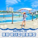 치킨과바람피자포항월포점 | 포항 형산강 물놀이장 예약방법 이용요금 주의사항 꿀팁까지 한번에