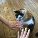 돈워리비해피 이미지