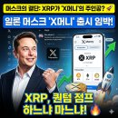 퀀텀점프 티스토리