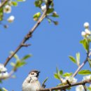 경희늘해랑한의원 이미지