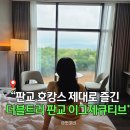 해피포레스트 | 힐튼 서울 판교 호캉스 포레스트뷰 이그제큐티브 추천 객실 후기 내돈내산 (조식 해피아워 수영장까지)