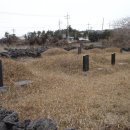 동광리-15 Daum카페