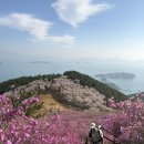 대금산진달래길(등산) | 경남 거제 대금산 등산 코스 (명동리 주차장 - 대금산...코스. 최단 코스. 진달래 개화 상황. 부산 근교...