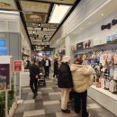 내새끼 펫 이미지