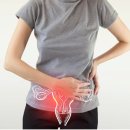 이정례의원 이미지