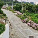 사랑채펜션 - 논산시 금곡2길 27-1 | 사랑채펜션