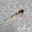 양노로 | 빌라 깨진벽 보수 티안나게 수리 잘하는곳