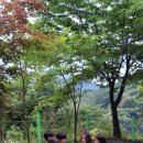 파마스힐캠핑장 이미지