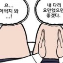 쓰담약국 | 허벅지 지방흡입+허파고리 수술｜당일~7일차 식단.붓기.멍.통증 솔직 후기｜부산지방흡입병원
