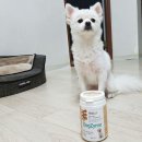 예랑그린텍 | [강아지 발효유산균 도그자임]도그자임 급여후기