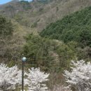 구룡상회 이미지