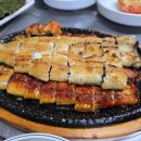 성문민물장어 이미지