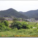 큰골농장 티스토리